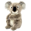 Anima Peluche Koala - 15 cm